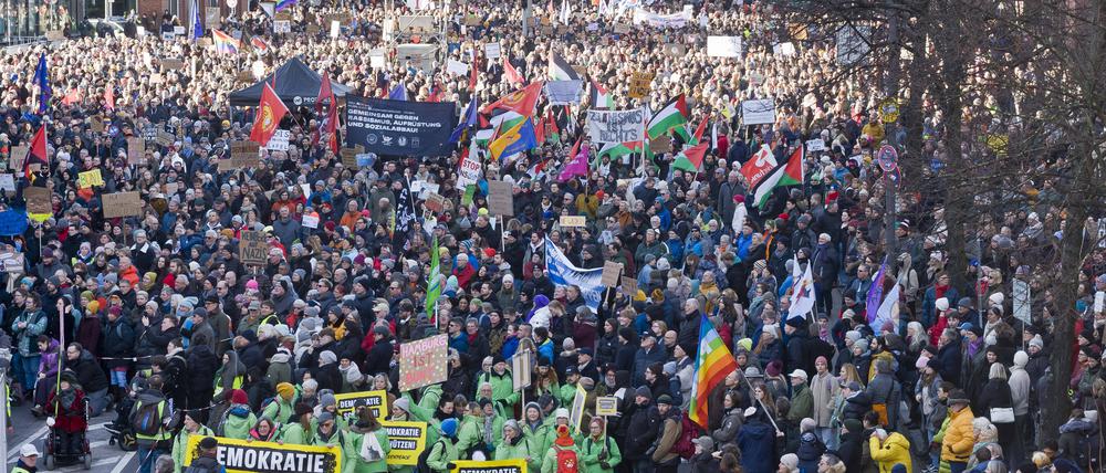 Protestmarsch gegen die AfD in Hamburg
