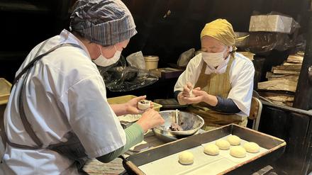 Obwohl in Japan die Zahl der 15- bis 64-Jährigen seit Mitte der 90er-Jahre sinkt, konnte das Land die Zahl der Erwerbstätigen bis zur Pandemie auf immer neue Rekordwerte steigern