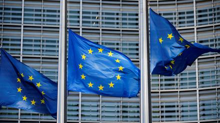 Europäische Fahnen in Brüssel am 1. März 2024.