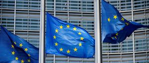 Europäische Fahnen in Brüssel am 1. März 2024.