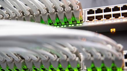 Netzwerkkabel in einem Rechenzentrum vom bayerischen Landeskriminalamt (BLKA) in einem Netzwerk-Switch. Virtuelle Welten und künstliche Intelligenz konfrontieren die Polizei mit neuen Tatorten. Dafür müssten Fahnder sich rüsten, meint die Polizeiorganisation Interpol.