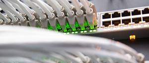 Netzwerkkabel in einem Rechenzentrum vom bayerischen Landeskriminalamt (BLKA) in einem Netzwerk-Switch. Virtuelle Welten und künstliche Intelligenz konfrontieren die Polizei mit neuen Tatorten. Dafür müssten Fahnder sich rüsten, meint die Polizeiorganisation Interpol.