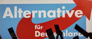 Delegierte halten beim Landesparteitag AfD Hessen ihren Stimmzettel. (zu dpa «AfD-Bundesparteitag in Magdeburg - Viele drängt es nach Brüssel») +++ dpa-Bildfunk +++