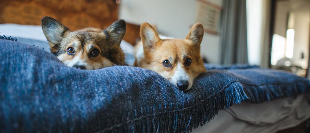 AdobeStock_442867634.jpeg