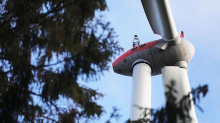 Ein Windrad steht im Wald Peterberg bei Vossenack hinter Bäumen. Der Bau Windrädern in Wäldern ist in NRW umstritten.