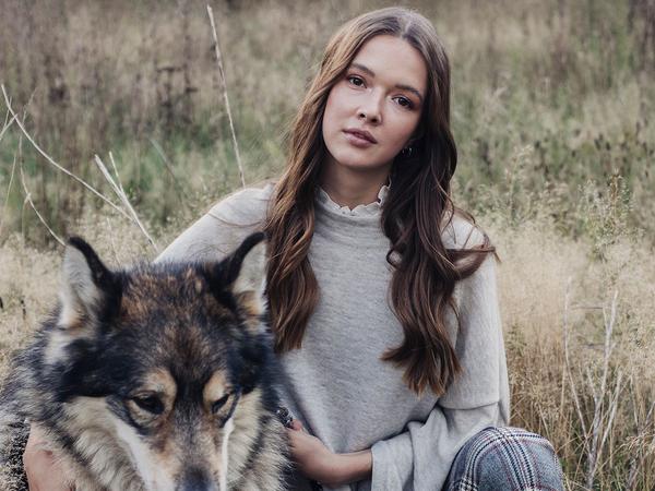 Pullover hundewolle Clearance