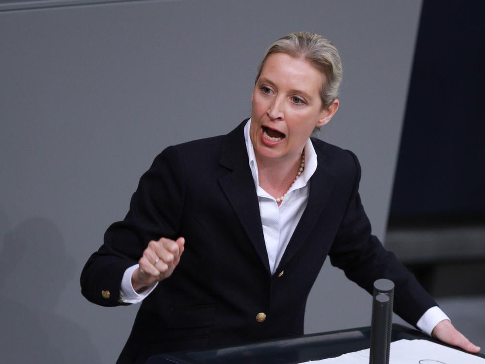 Diese Regierung hasst Deutschland“: Weidel will „Schneise ...