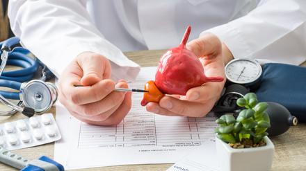 Obwohl die Prostatavergrößerung eine sehr häufige Erkrankung ist, wissen die Männer noch zu wenig über ihre Prostata. 