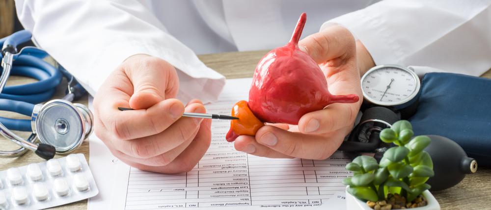 Obwohl die Prostatavergrößerung eine sehr häufige Erkrankung ist, wissen die Männer noch zu wenig über ihre Prostata. 