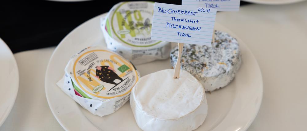 Käse-Verkostung beim „Koch Campus“-Symposium in Kärnten.