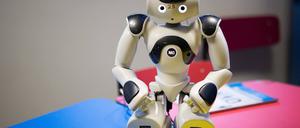 Der Nao-Roboter berlinerte für den Versuch der Potsdamer Forschenden.
