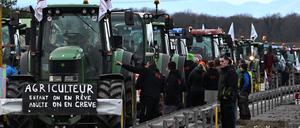 Französische Bauern blockieren eine Autobahn nahe der deutsch-französischen Grenze.
