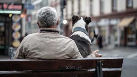 Ein Mann und ein Hund sitzen am Rande der Innenstadt gemeinsam auf einer Bank, beobachten die Straßenszenerie und lassen Verkehr und Menschen an sich vorbeiziehen.