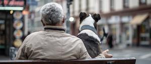 Ein Mann und ein Hund sitzen am Rande der Innenstadt gemeinsam auf einer Bank, beobachten die Straßenszenerie und lassen Verkehr und Menschen an sich vorbeiziehen.