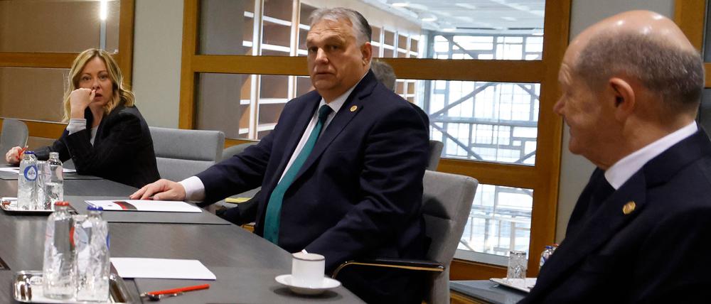 Die Patin: Giorgia Meloni mit Ungarns Premier Orbán (Mitte) und Bundeskanzler Scholz während des Gipfels in Brüssel.