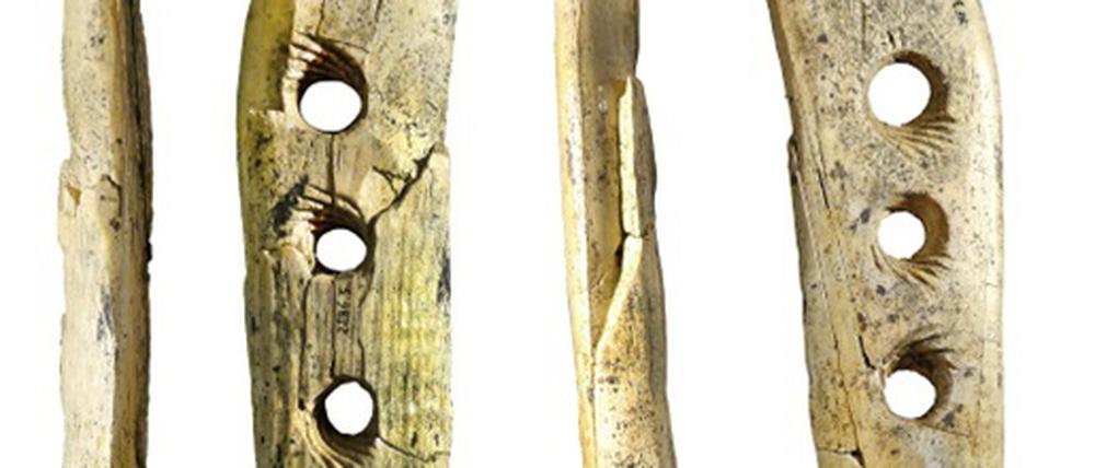 Mit diesen Lochstäben wurden vor 35.000 Jahren Seile hergestellt.