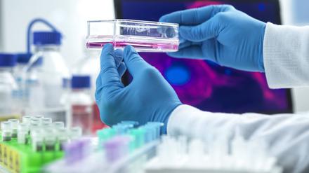 Der Weichmacher Di-n-hexyl-Phthalat ist seit 2013 verboten.