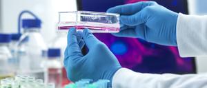 Der Weichmacher Di-n-hexyl-Phthalat ist seit 2013 verboten.