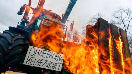 Proteste von Bauern am 15. Januar 2014 in Berlin.