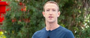 Die Kampfsport-Begeisterung von Facebook-Gründer Mark Zuckerberg zwingt den von ihm geführten Meta-Konzern zu einer ungewöhnlichen Warnung an Investoren.