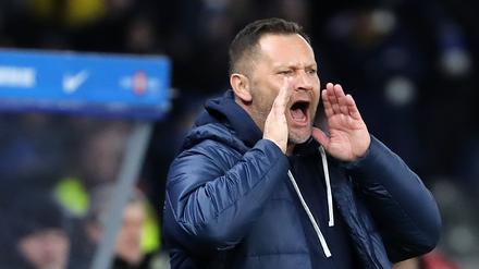 Pal Dardai, Trainer von Hertha BSC