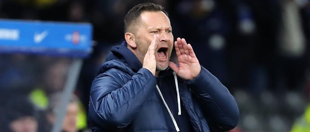 Pal Dardai, Trainer von Hertha BSC