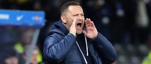 Pal Dardai, Trainer von Hertha BSC
