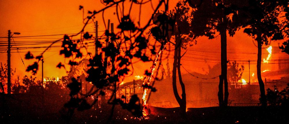 Flammen und Rauch sind bei einem Waldbrand in Chile zu sehen. Die USA bieten jetzt ihre Hilfe an.