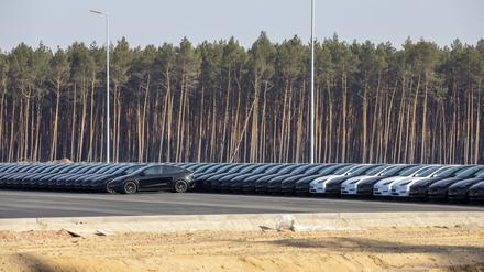 Die Ausbaupläne von Tesla könnten an der Gemeinde Grünheide scheitern; aktuell ruht die Produktion wegen Lieferkettenproblemen im Roten Meer.
