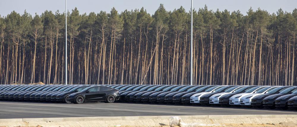 Die Ausbaupläne von Tesla könnten an der Gemeinde Grünheide scheitern; aktuell ruht die Produktion wegen Lieferkettenproblemen im Roten Meer.