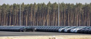 Die Ausbaupläne von Tesla könnten an der Gemeinde Grünheide scheitern; aktuell ruht die Produktion wegen Lieferkettenproblemen im Roten Meer.