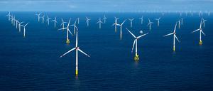 Der Offshore-Windpark Borkum Riffgrund.