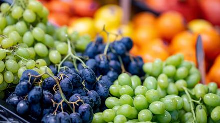 Weintrauben sind auf der Fruit Logistica: Die internationale Messe für Früchte- und Gemüsemarketing startet diesen Mittwoch.