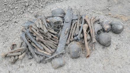 Bei Erdarbeiten nach dem Abriss eines Hauses sind in Lippetal mehrere Schädel und eine Vielzahl von Knochen gefunden worden.
