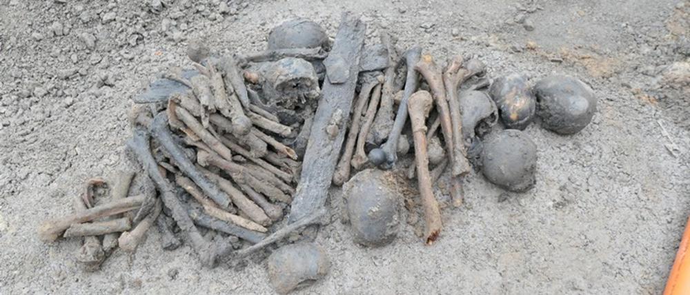 Bei Erdarbeiten nach dem Abriss eines Hauses sind in Lippetal mehrere Schädel und eine Vielzahl von Knochen gefunden worden. 