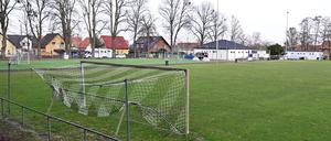 Die Potsdam Royals durften im September auf dem Sportplatz Bornim trainieren, obwohl dieser wegen Nässe gesperrt worden war. 