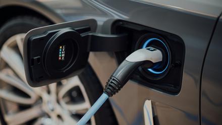 Bisher hat der schnelle Kapazitätsverlust nach kurzem Gebrauch verhindert, dass Lithium-Metall-Batterien als Akkus in Elektroautos genutzt werden. 