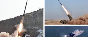 Die offiziellen Bilder aus Nordkorea. Ihre Echtheit kann nicht überprüft werden.