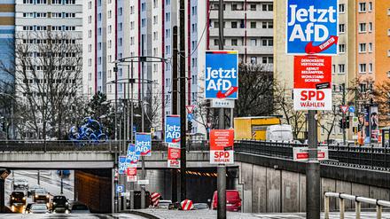 AfD-Wahlplakate in Marzahn-Hellersdorf.