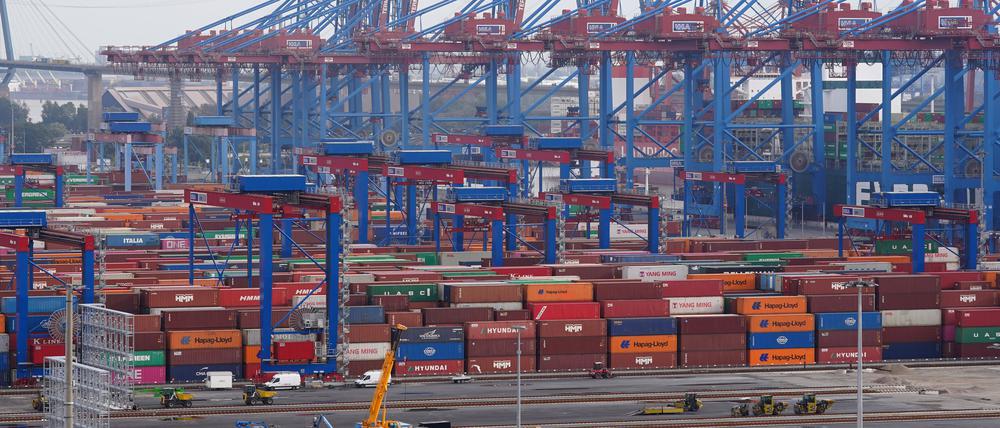 Container stehen auf dem Container Terminal Burchardkai im Hamburger Hafen.