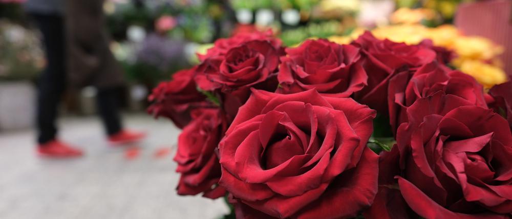 Tiefrote Rosen sind der Klassiker am Valentinstag: Wer sie verschenkt, möchte zum Ausdruck bringen, dass man bereit für eine feste Bindung ist.
