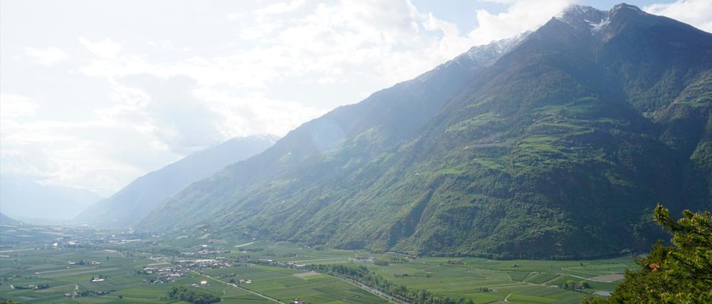 Im Vinschgau gedeihen Äpfel am Fuße der Alpengipfel. Die Kulturlandschaft ist jedoch durch eine besonders ausgeprägte Trockenheit belastet.