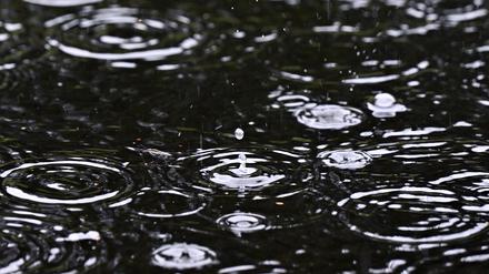 Regentropfen fallen in einen Teich im Landschaftspark Duisburg. 