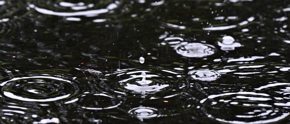 Regentropfen fallen in einen Teich im Landschaftspark Duisburg.