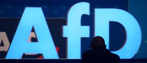 Ein Delegierte der AfD wartet auf den Beginn der Europawahlversammlung.