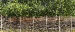 So sieht eine Benjeshecke aus Totholz aus.