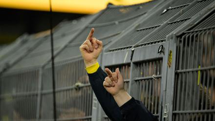 Fan-Protest gegen den Investoren-Einstieg bei der DFL bei einem Spiel zwischen Borussia Dortmund und dem SC Freiburg am 9. Februar 2024.