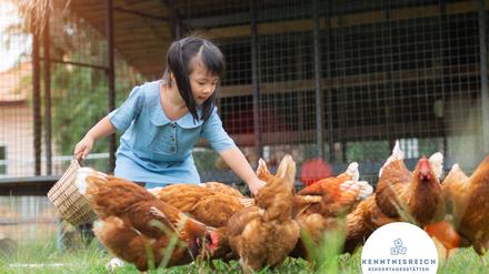 Die Hühner-Kita in Kreuzberg. 