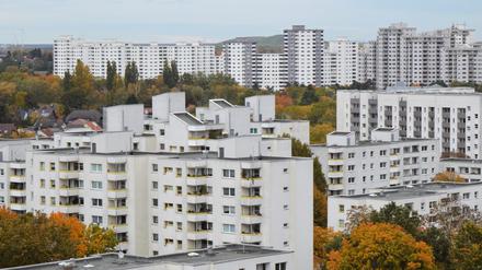 Berlin, Märkisches Viertel, preisgekröntes Bild des 15-jährigen Berliner Fotografen Aaron Ohnesorge