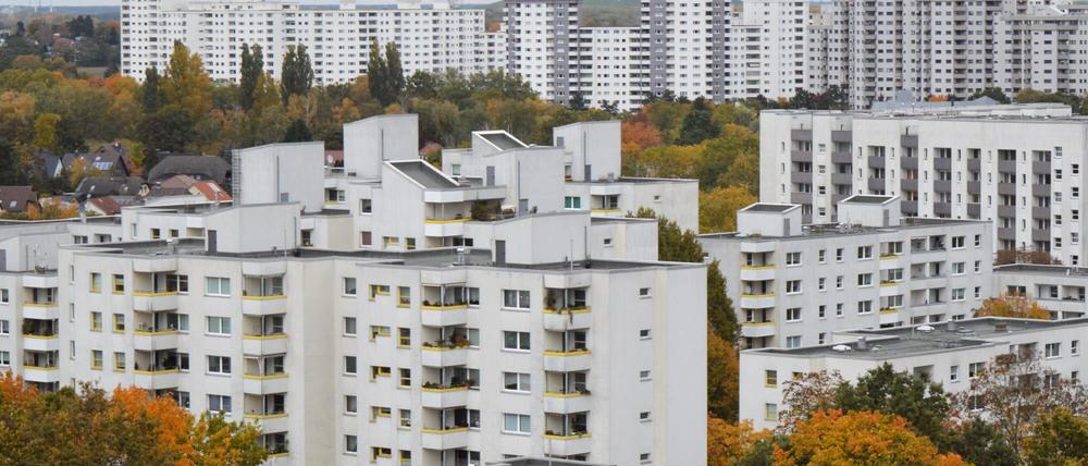 Berlin, Märkisches Viertel, preisgekröntes Bild des 15-jährigen Berliner Fotografen Aaron Ohnesorge